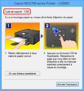 figure : Écran de message d'erreur
